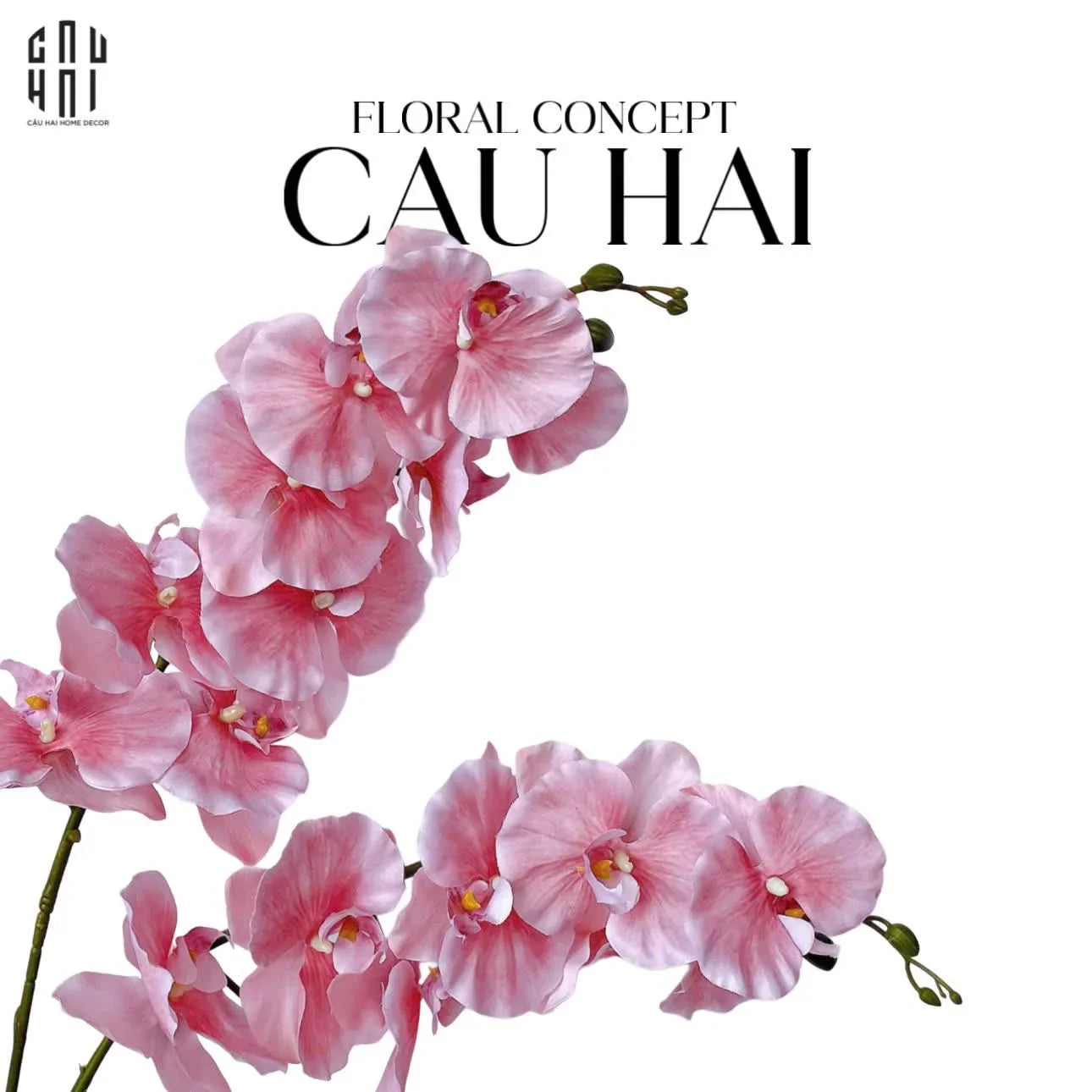 Set 2 Cành Lan Hồ Điệp Cánh Xoăn - Hồng-CẬU HAI HOME DECOR