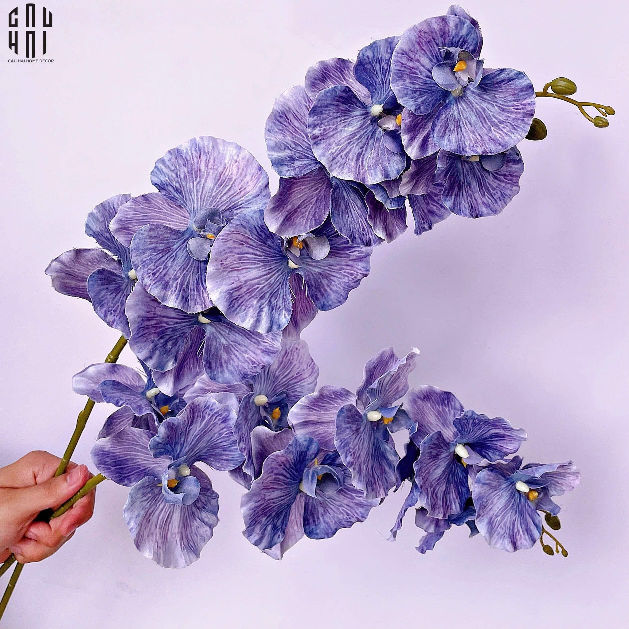 SET 2 CÀNH LAN HỒ ĐIỆP CÁNH XOĂN - XANH TÍM-CẬU HAI HOME DECOR