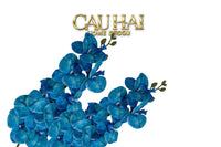 Set 2 Cành Lan Hồ Điệp Royal Phalaenopsis Orchid-CẬU HAI HOME DECOR