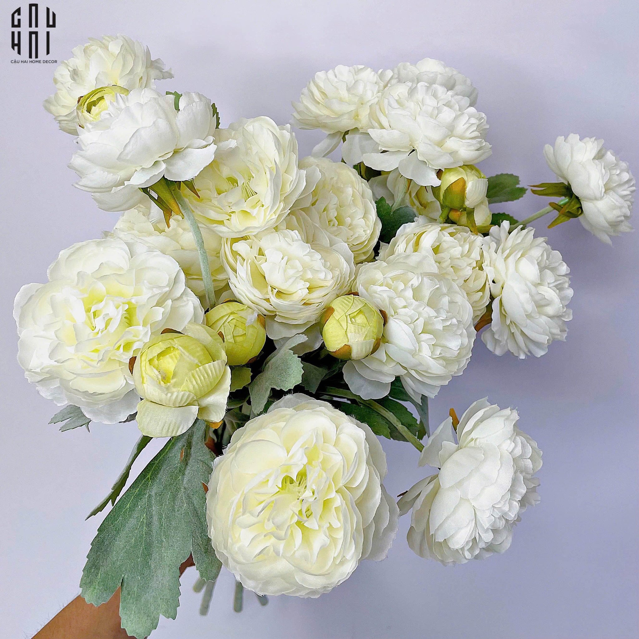SET 2 CÀNH MAO LƯƠNG RANUNCULUS - TRẮNG-CẬU HAI HOME DECOR