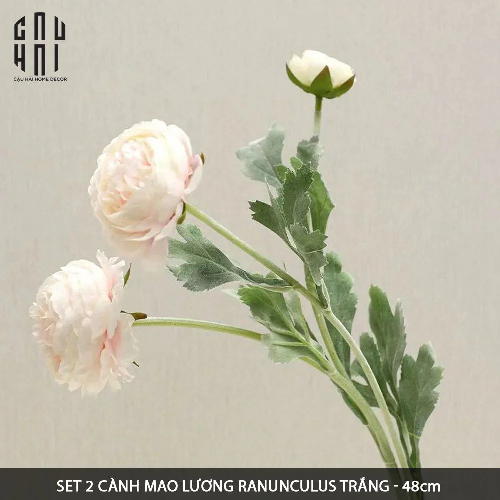 SET 2 CÀNH MAO LƯƠNG RANUNCULUS - TRẮNG-CẬU HAI HOME DECOR