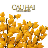 Set 2 Cành Trái Dư – Dried Berry Branches-Cành Khô Trang Trí-CẬU HAI HOME DECOR
