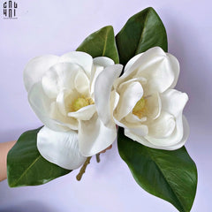 Set 2 Hoa Mộc Lan Trắng - Magnolia Grandiflora-CẬU HAI HOME DECOR