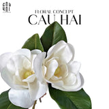 Set 2 Hoa Mộc Lan Trắng - Magnolia Grandiflora-TƯỢNG TRANG TRÍ-Đối tác tại Trung Quốc theo từng đơn đặt hàng-CẬU HAI HOME DECOR