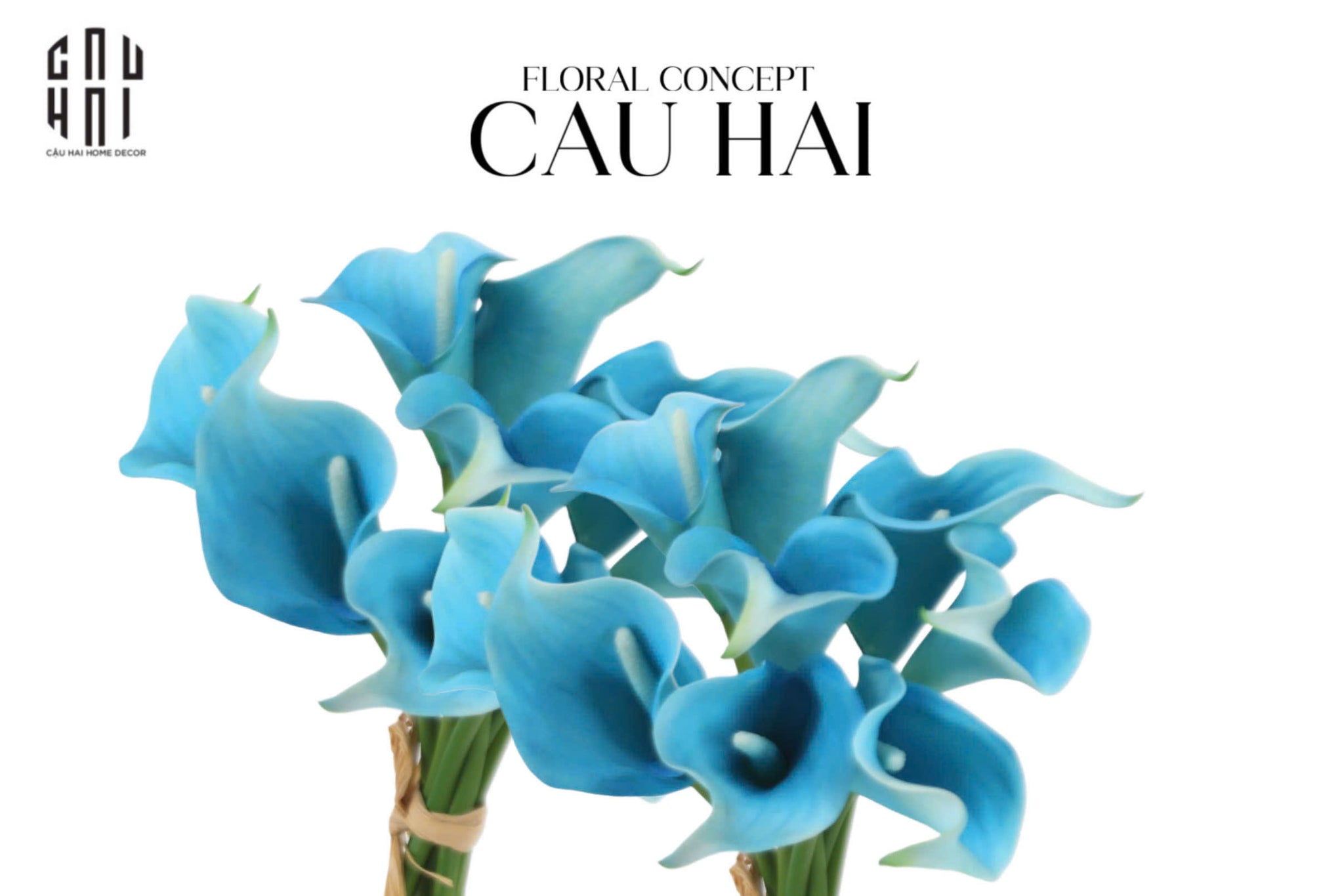 Set 5 Cành Calla Lily Flame / Sky Blue - CẬU HAI HOME DECOR