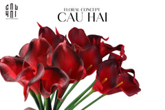 Set 5 Cành Calla Lily Flame / Sky Blue-CẬU HAI HOME DECOR