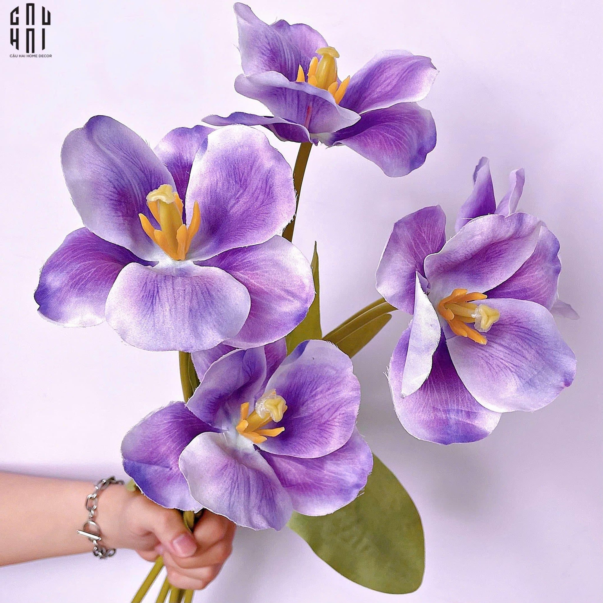 SET 5 CÀNH HOA TULIP NỞ - TÍM-CẬU HAI HOME DECOR