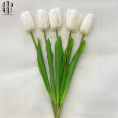 Set 5 Cành Hoa Tulip Trắng 46Cm-CẬU HAI HOME DECOR