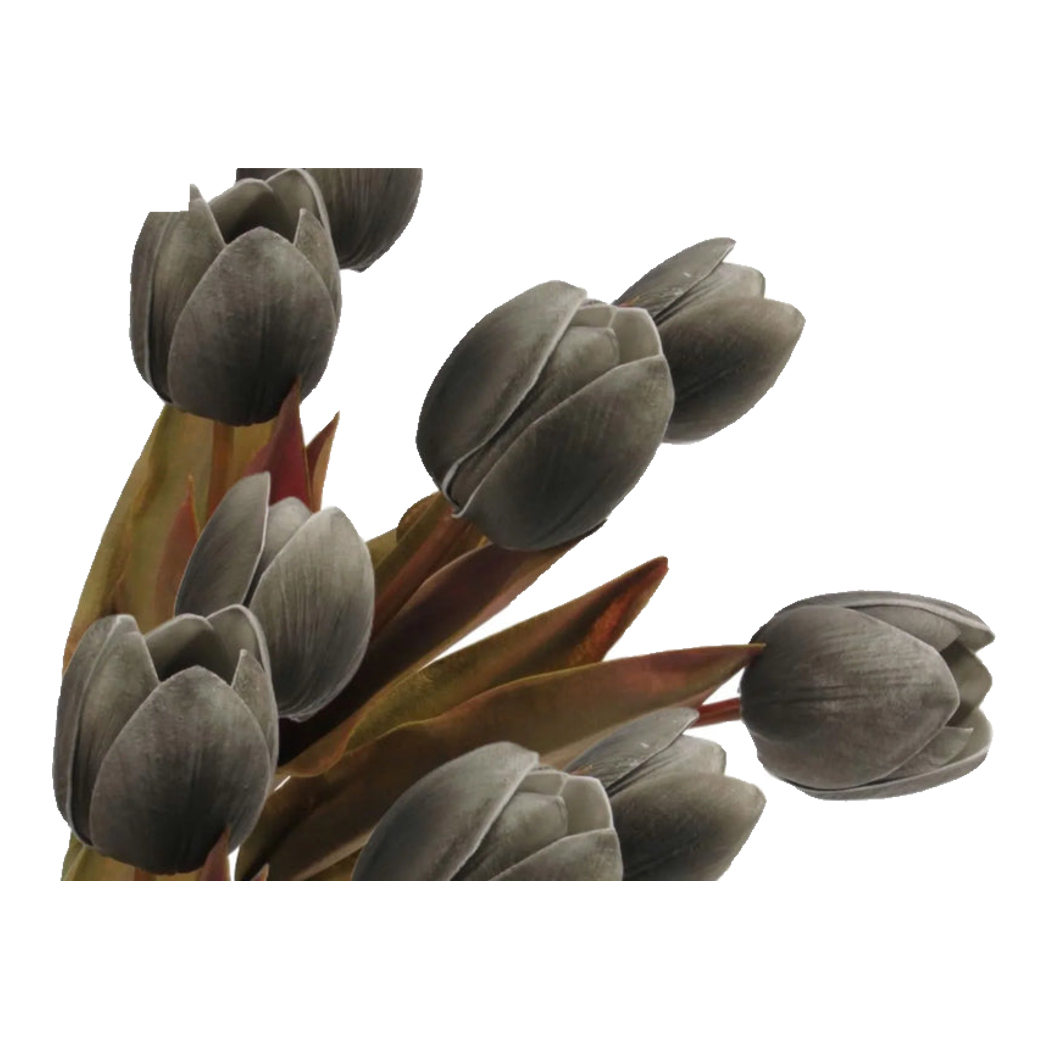 Set 5 Cành Tulip Lux - Black