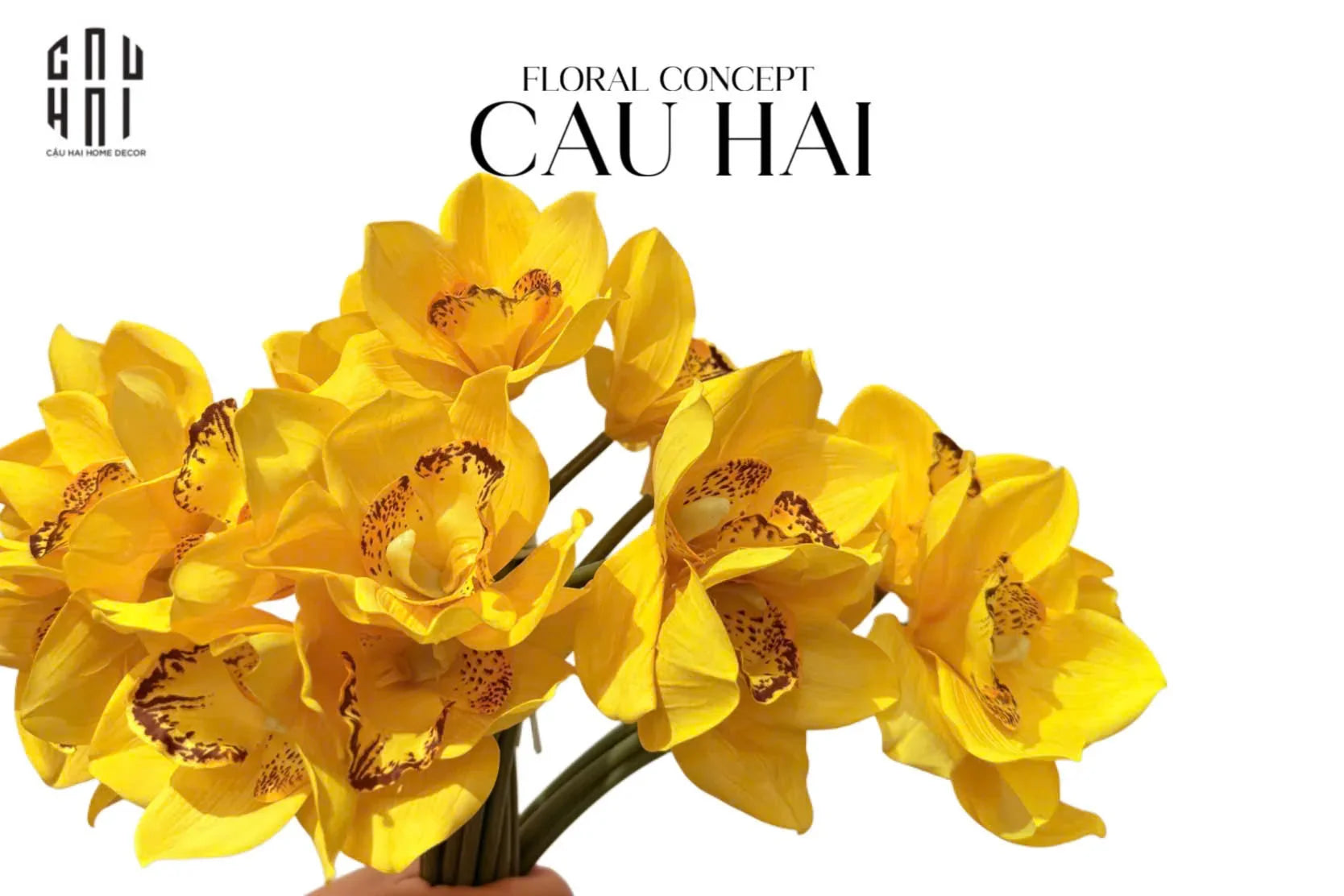 Set 5 Hoa Địa Lan - Canary-CẬU HAI HOME DECOR