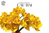 Set 5 Hoa Địa Lan - Canary-TƯỢNG TRANG TRÍ-CẬU HAI HOME DECOR