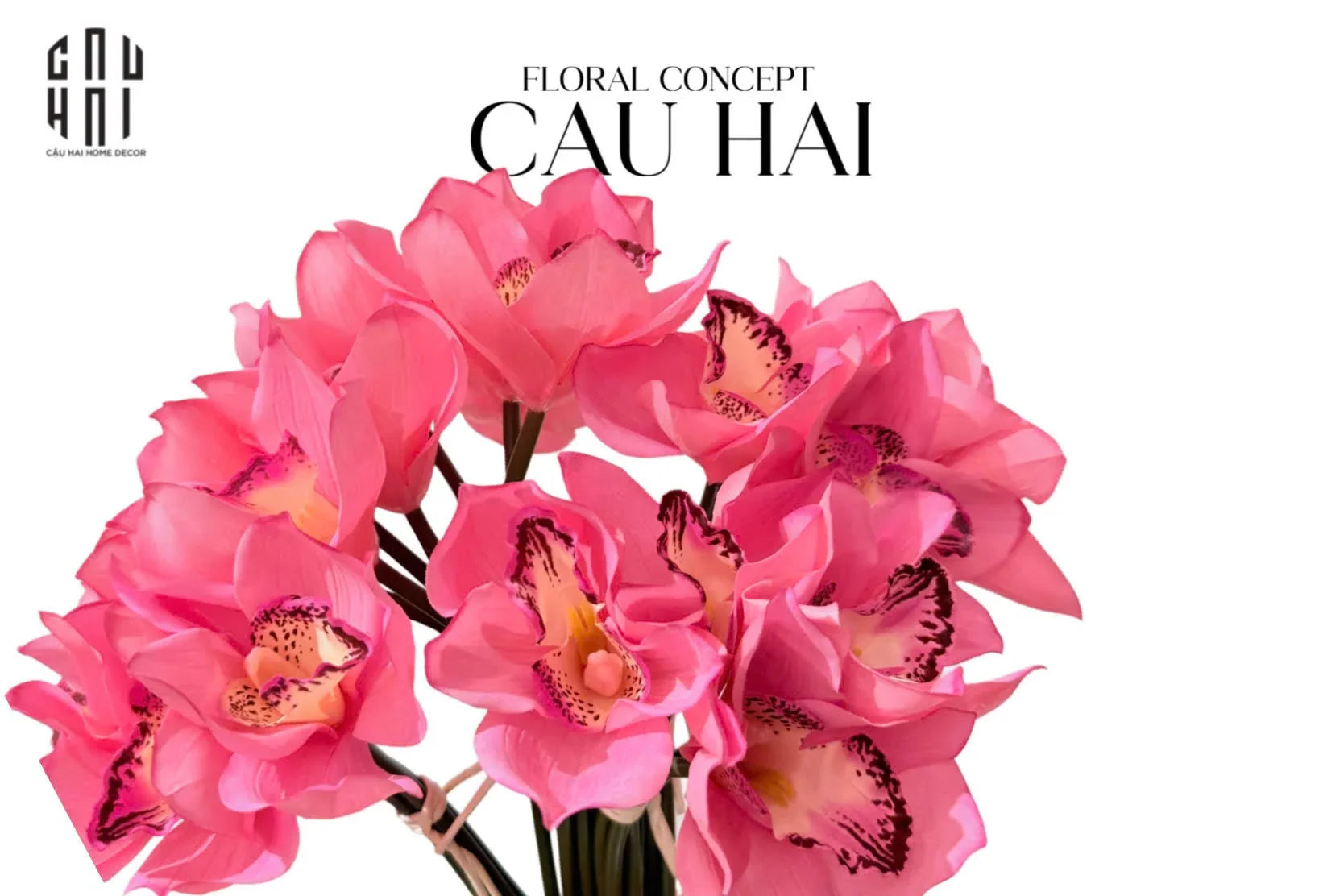 set-5-hoa-dia-lan-hot-pink-cau-hai-home-decor - CẬU HAI HOME DECOR