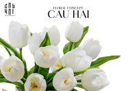 Set 5 Hoa Tulip Milk Grace-CẬU HAI HOME DECOR