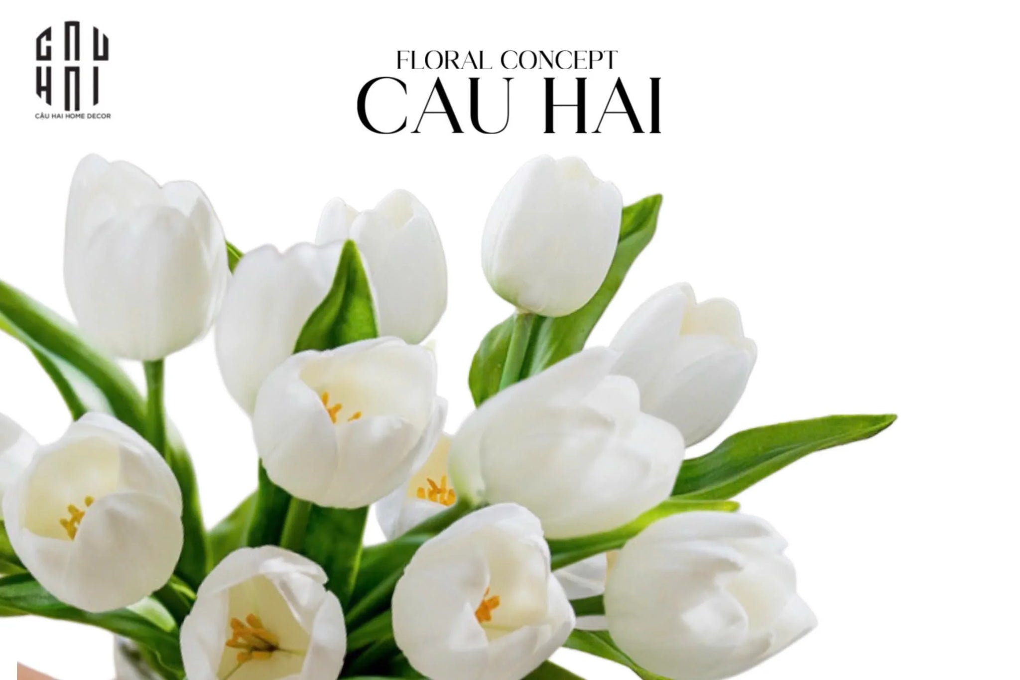 Set 5 Hoa Tulip Milk Grace-CẬU HAI HOME DECOR