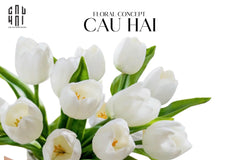 Set 5 Hoa Tulip Milk Grace-CẬU HAI HOME DECOR