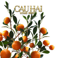 Tết Couture - Set 2 Cành Quả Quýt Tangerines Ember/Amber-CẬU HAI HOME DECOR