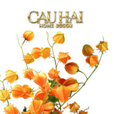 Tết Couture - Set 2 Cành Trái Tầm Bóp Physalis Amberfruit 85cm-Hoa Lụa-CẬU HAI HOME DECOR