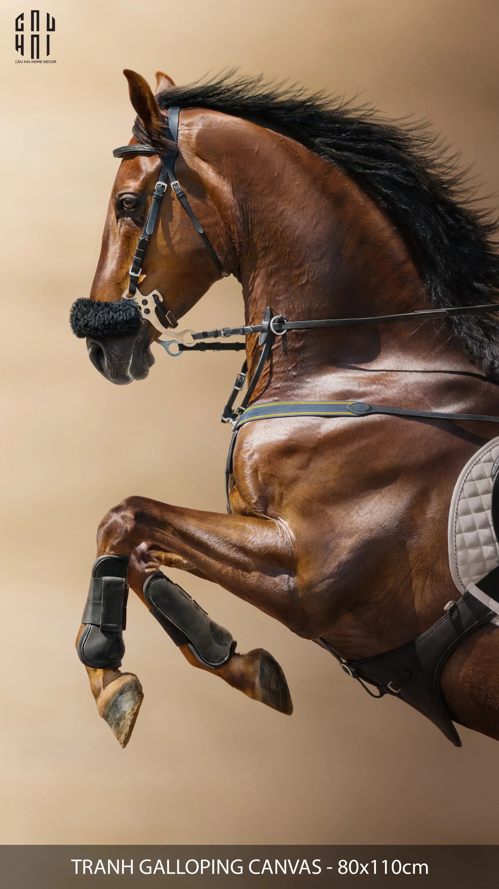 TRANH CANVAS GALLOPING 80X110CM-CẬU HAI HOME DECOR