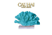 Tượng San Hô Corail Art de Mer Turquoise Sculptural-CẬU HAI HOME DECOR