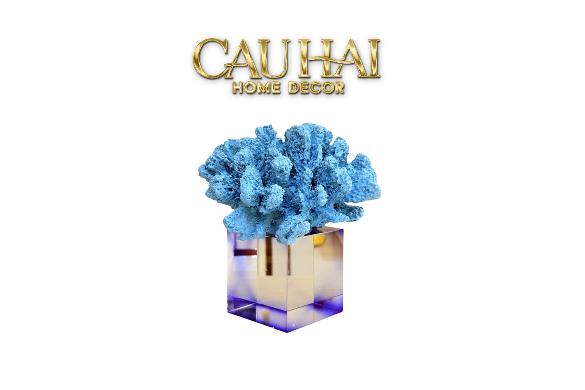 IMG-0746 - CẬU HAI HOME DECOR