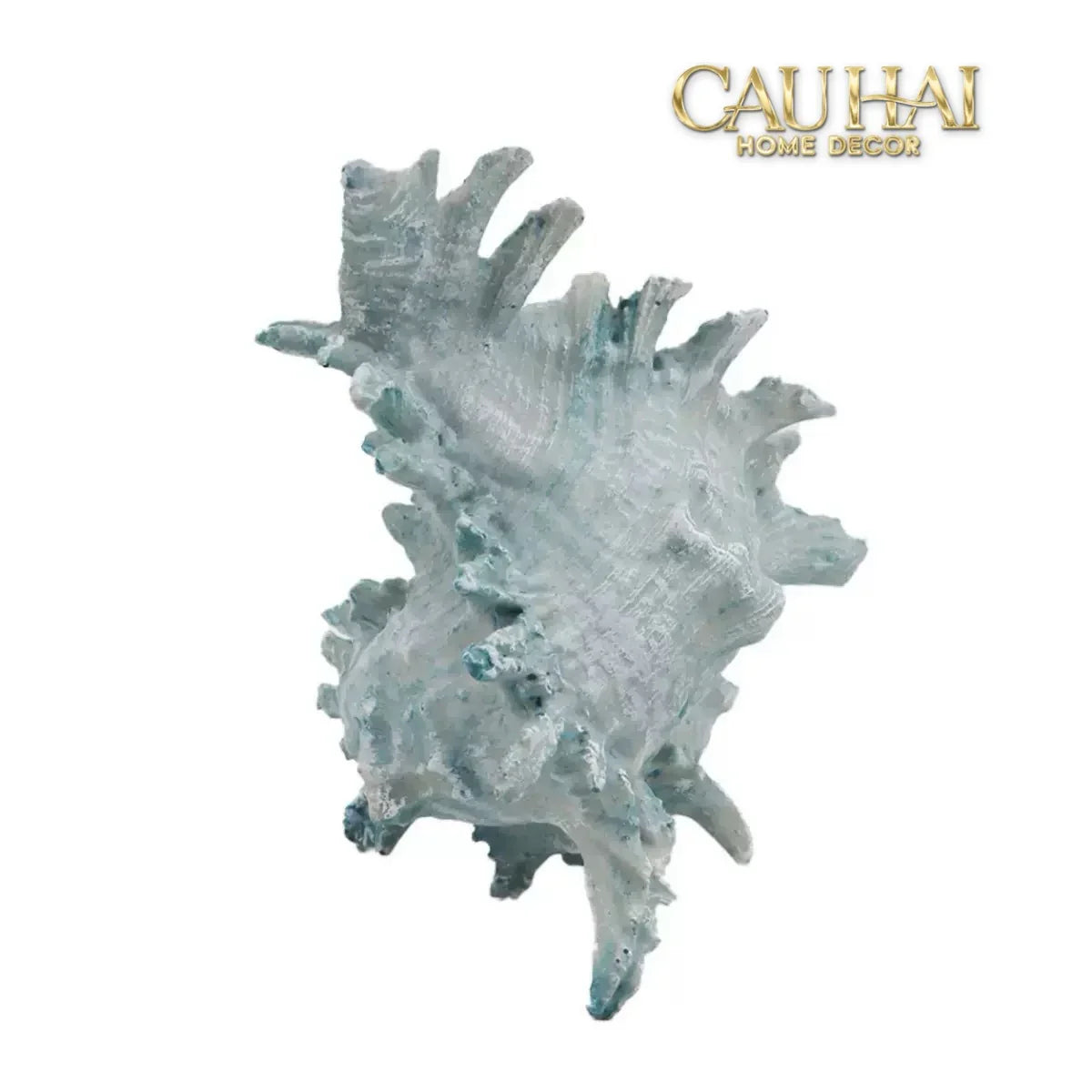 tuong-vo-oc-azure-moonlight-oceania-spirit-13x17-tuong-trang-tri-cau-hai-home-decor - CẬU HAI HOME DECOR