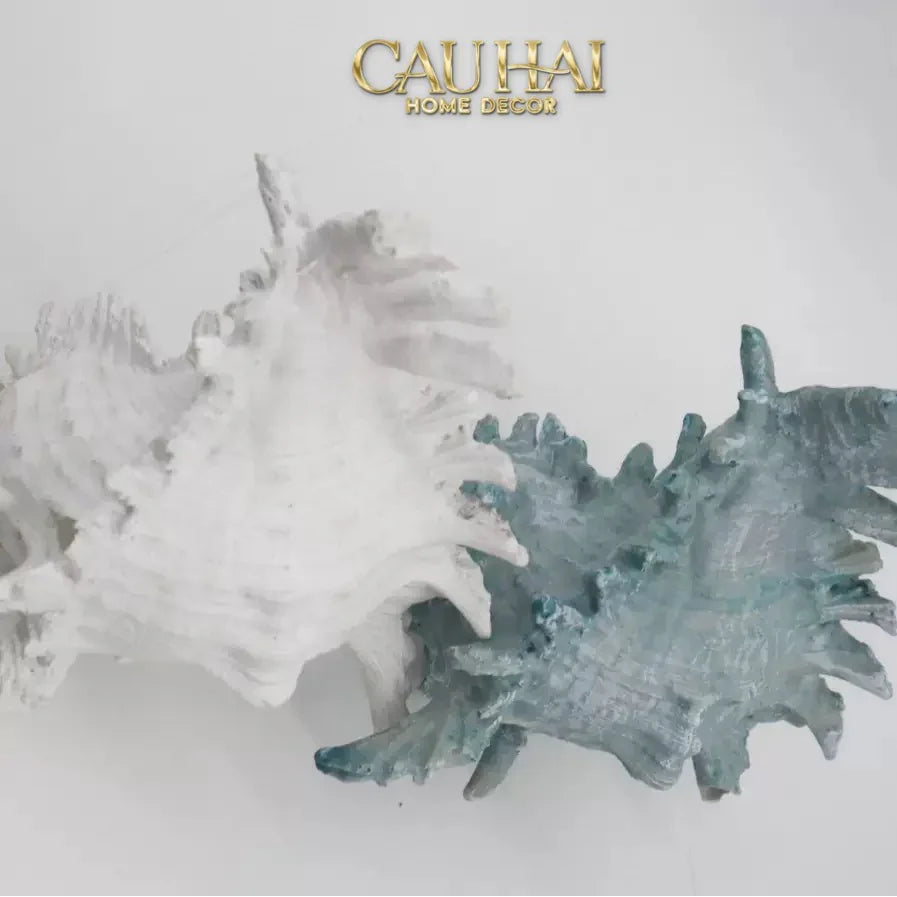 Tượng Vỏ Ốc Azure Moonlight Oceania Spirit 13x17-CẬU HAI HOME DECOR