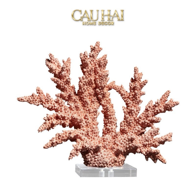 Home Couture - Tượng San Hô Ashen Terra Corallia-CẬU HAI HOME DECOR