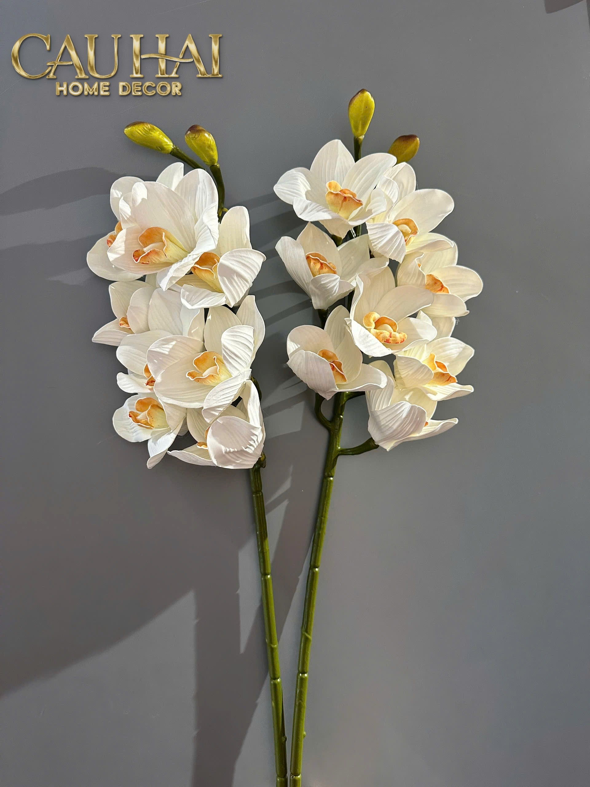 Set 2 Cành Địa Lan Cymbidium