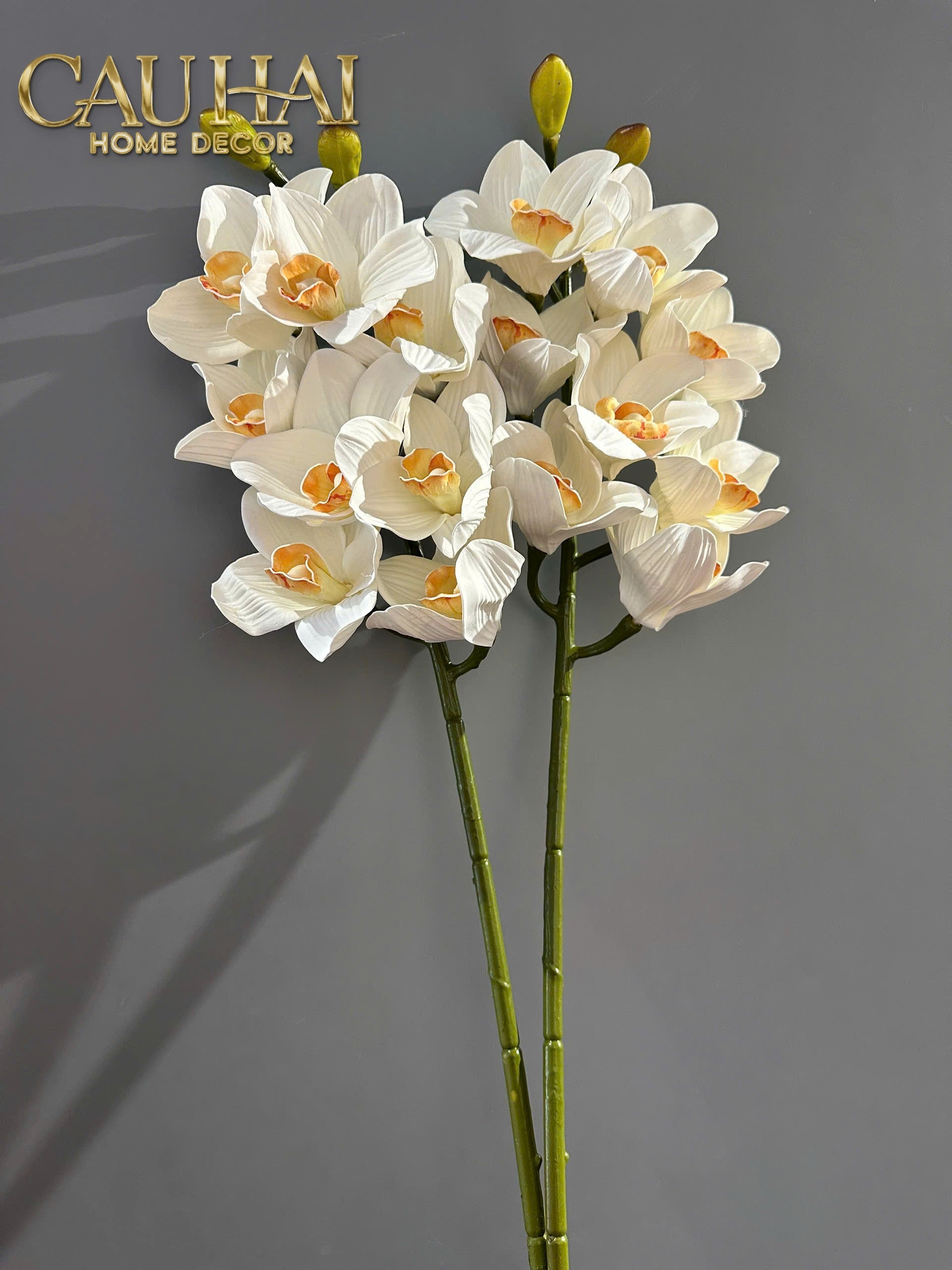 Set 2 Cành Địa Lan Cymbidium