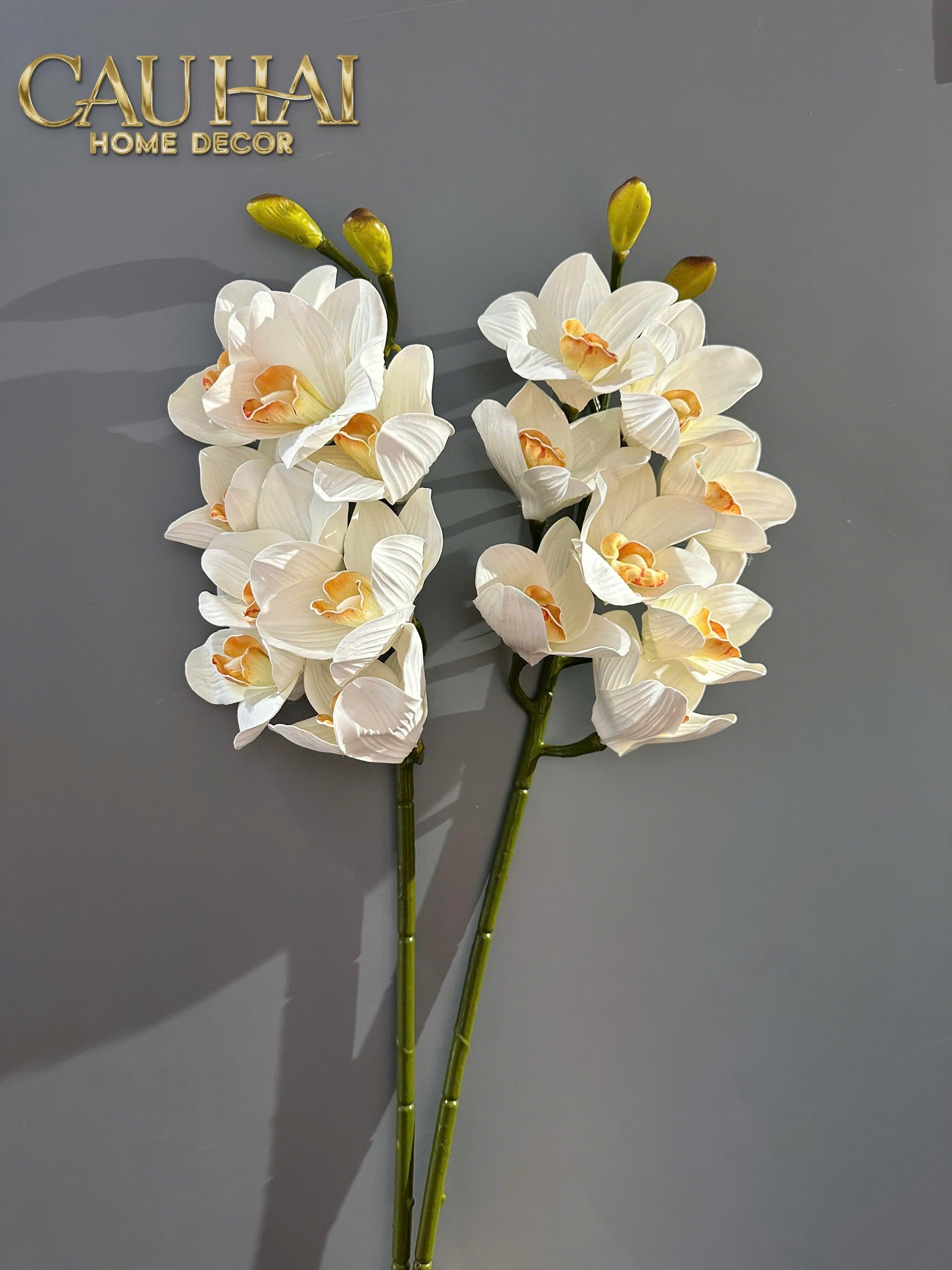 Set 2 Cành Địa Lan Cymbidium